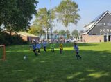 Mini Toernooitje op Sportpark Het Springer met S.K.N.W.K. JO7 en De Jonge Spartaan JO7 (110/174)